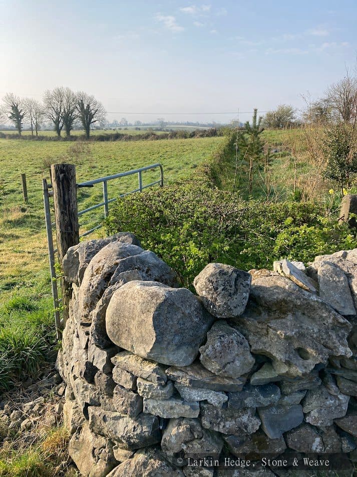 Dry stone wall entrance